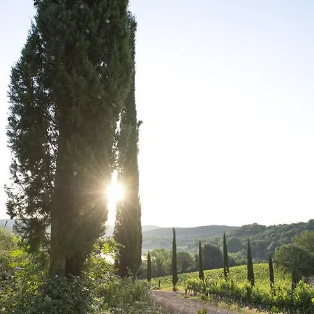 Tenuta La Tabaccaia * La Pesta