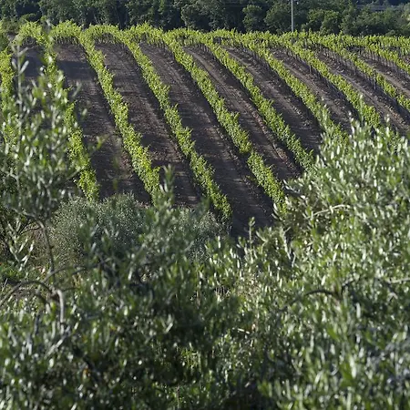Lantgård Tenuta La Tabaccaia *