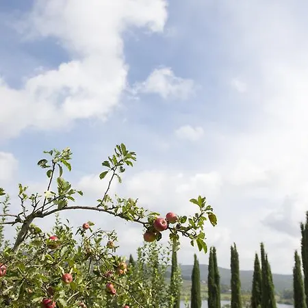 Tenuta La Tabaccaia *