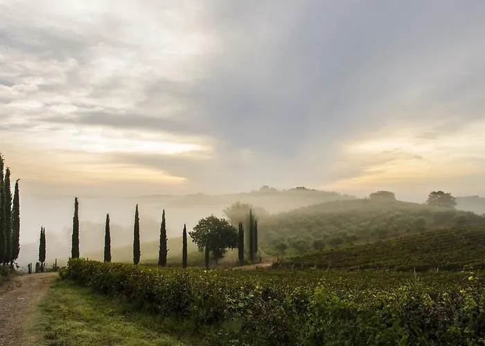 ファームステイ Tenuta La Tabaccaia
