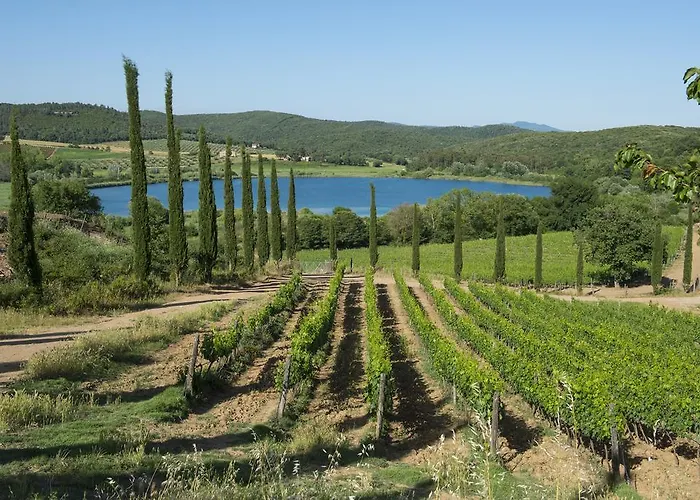 Tenuta La Tabaccaia La Pesta