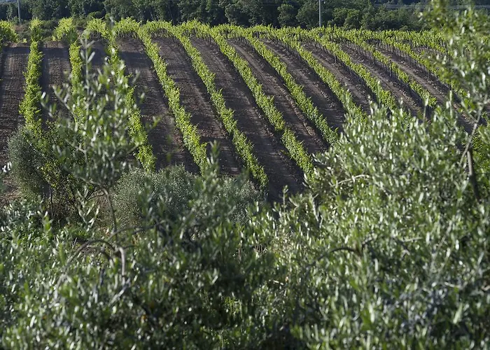 ファームステイ Tenuta La Tabaccaia *