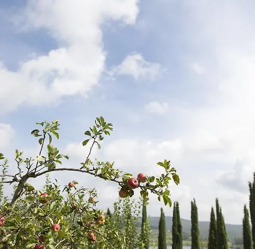 Tenuta La Tabaccaia *