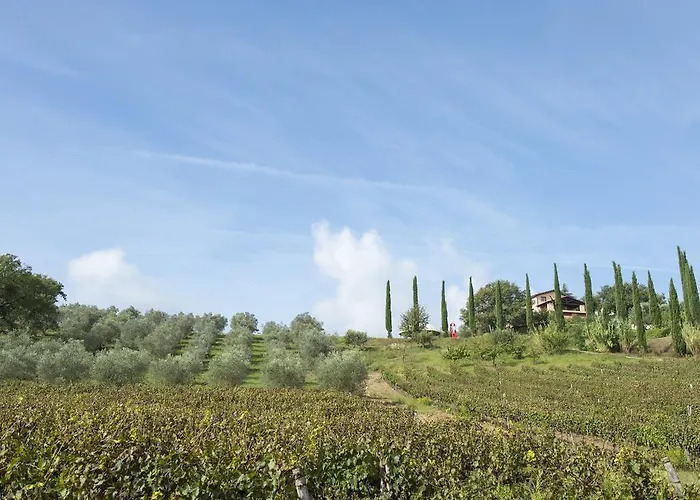 Tenuta La Tabaccaia La Pesta